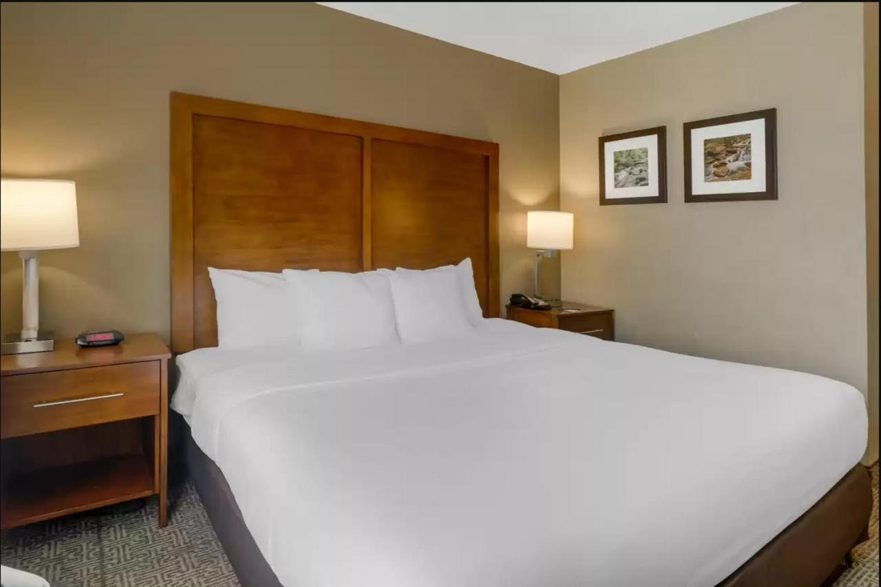 Comfort Inn & Suites Peachtree Corners Norcross Luaran gambar